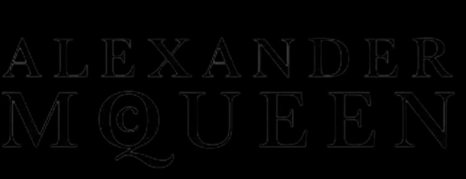Brand logo 2